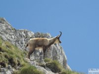 2026-05-27 M. Aquila da F. Cerreto 122